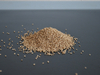 Walnut Shell
