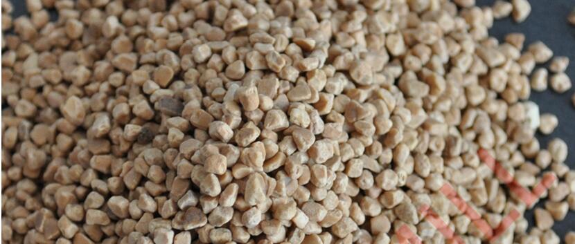 Walnut Shell